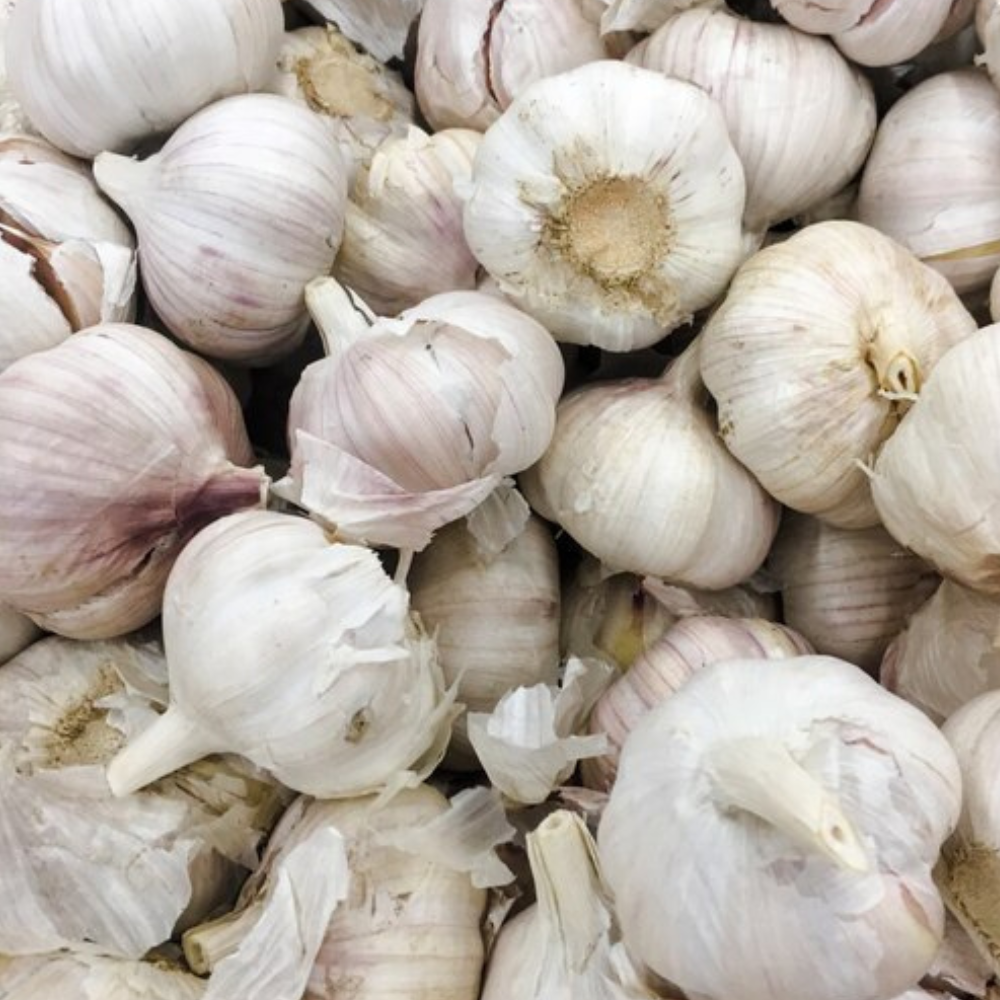 Saborizante Ajo - 5 Kg (Ahorras 12% por Kilogramo)