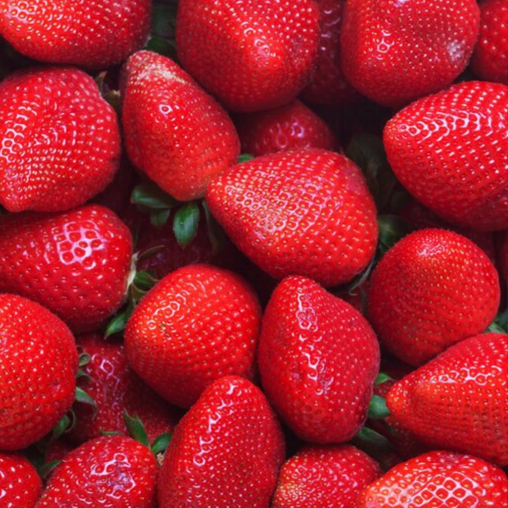 Milkogel Frutilla