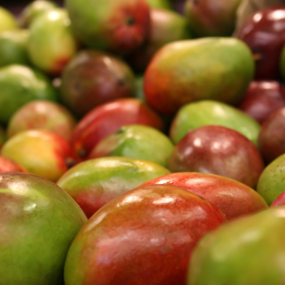Fragancia Mango - 0.5 L